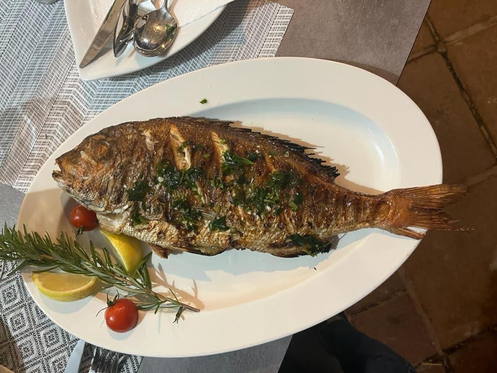Vila Nataly تروغير المظهر الخارجي الصورة